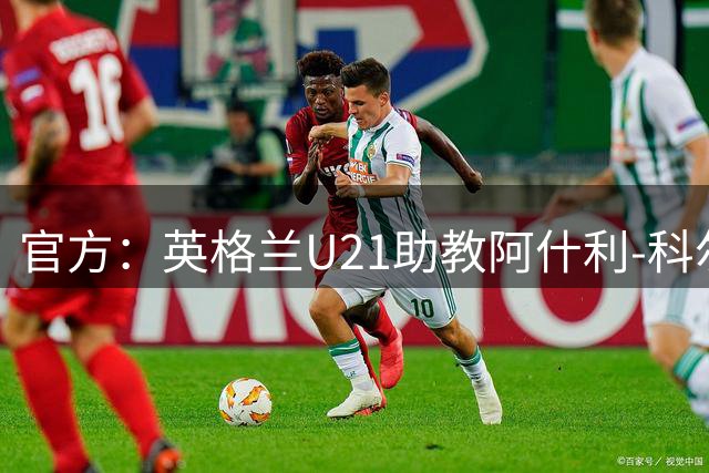 官方：英格兰U21助教阿什利-科尔执教五年后离任
